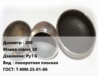 Заглушка стальная 200 Сталь: 20 Ру1.6 поворотная плоская ГОСТ: Т-ММ-25-01-06